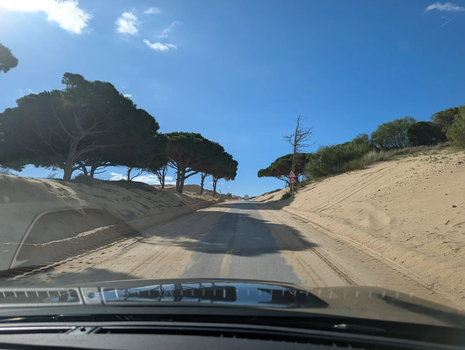 Fahrt durch Dünen unter Pinien