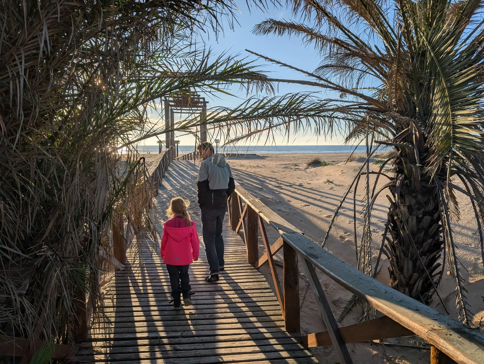 Holzsteg zwischen Palmen zum Strand
